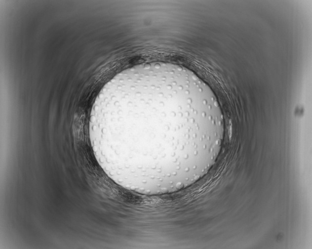 X0000099931059200805230954