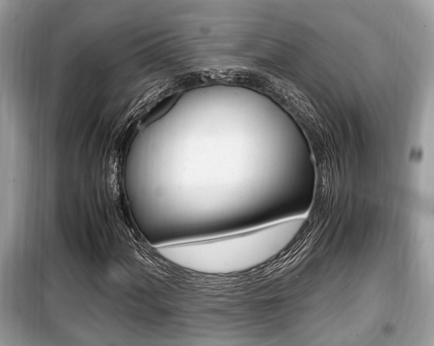 X0000099931060200805230954