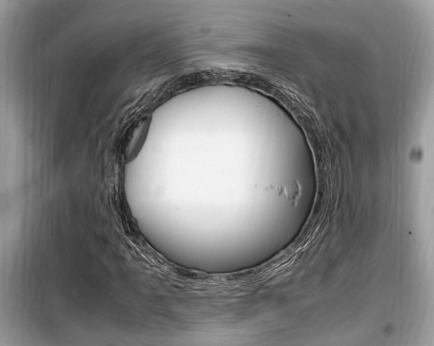 X0000099931061200805230954