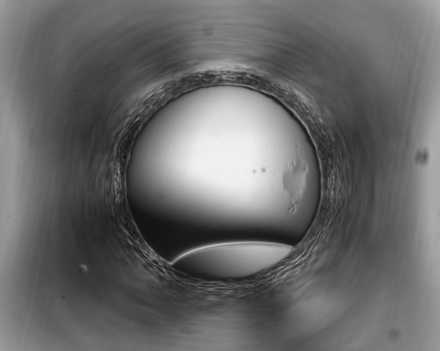X0000099931062200805230954