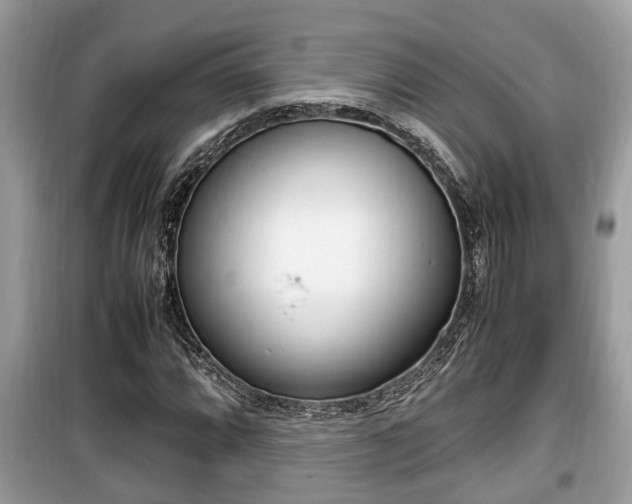 X0000099931064200805230954