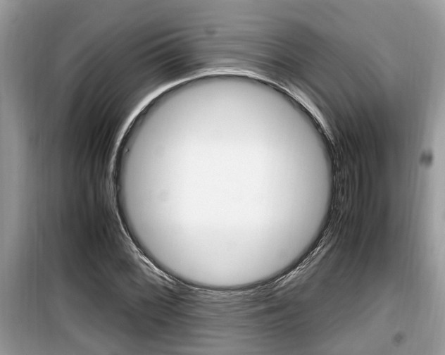 X0000099931068200805230954