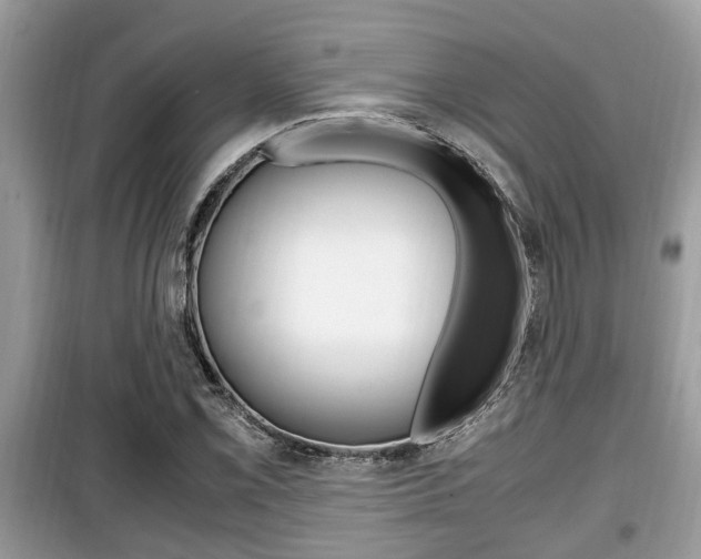 X0000099931069200805230954
