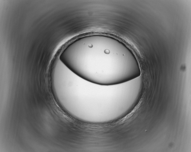 X0000099931070200805230954