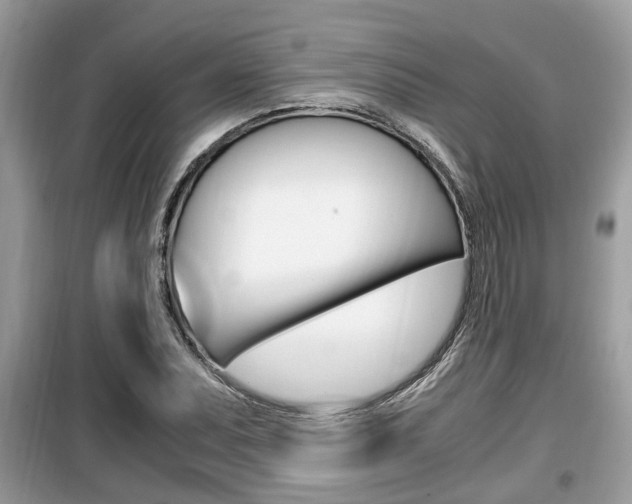 X0000099931071200805230954