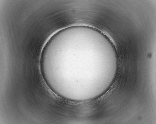 X0000099931076200805230954