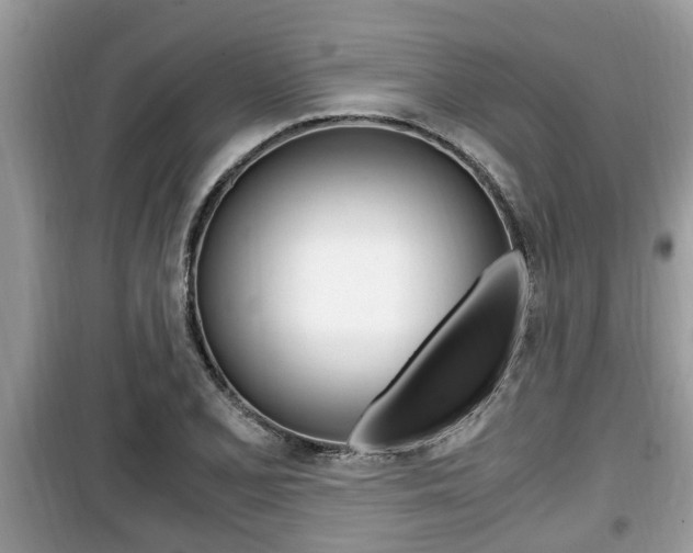 X0000099931077200805230954