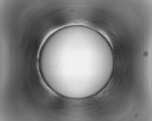 X0000099931080200805230954