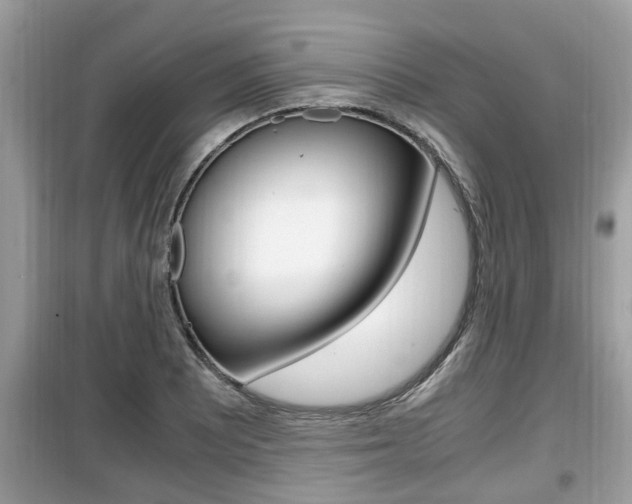 X0000099931081200805230954