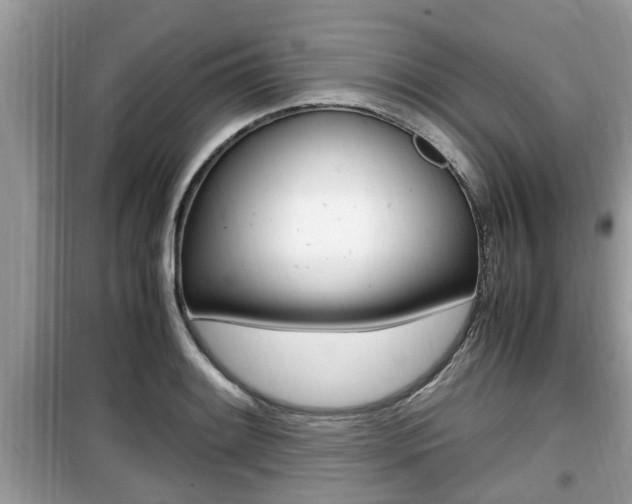X0000099931084200805230954