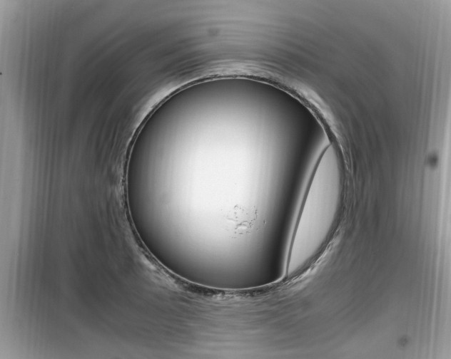 X0000099931089200805230954