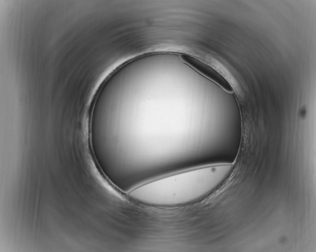 X0000099931092200805230954