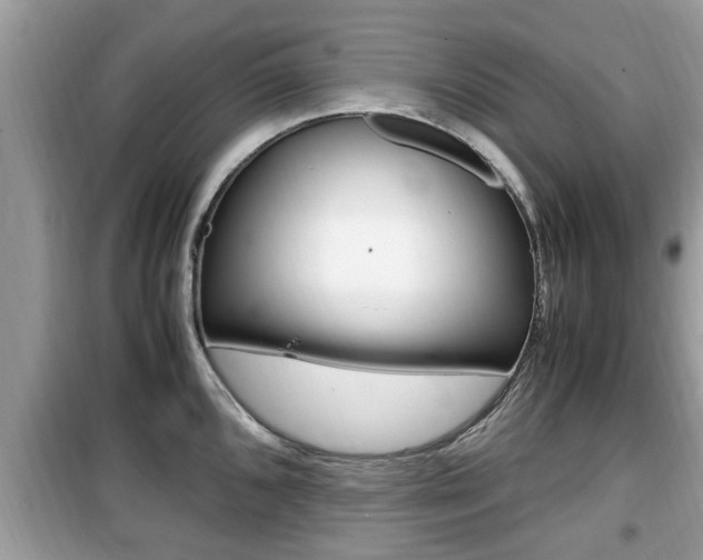 X0000099931096200805230954
