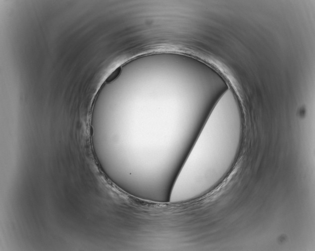 X0000099931097200805230954