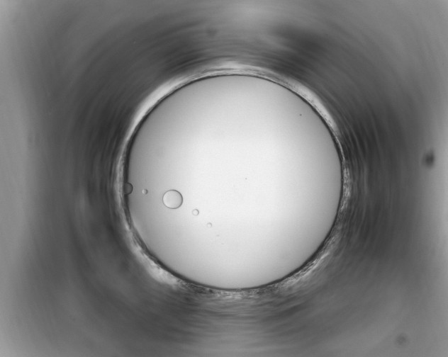 X0000099931098200805230954