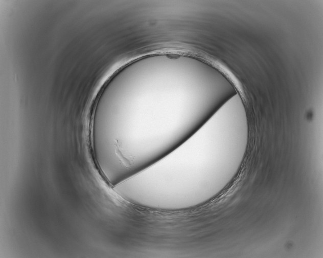 X0000099931099200805230954
