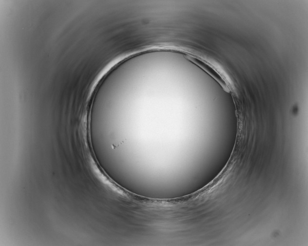 X0000099931100200805230954