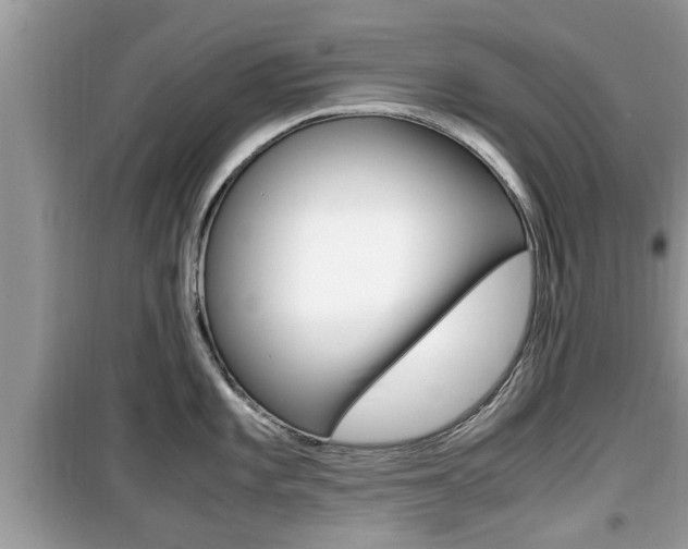 X0000099931101200805230954