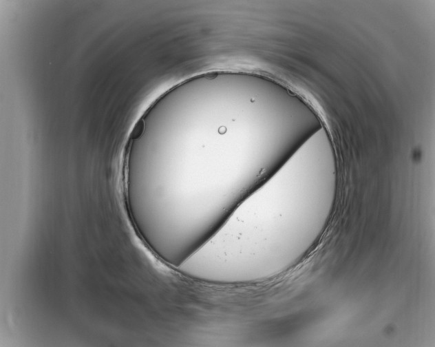 X0000099931103200805230954
