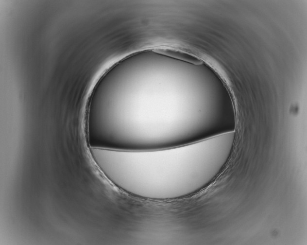 X0000099931104200805230954