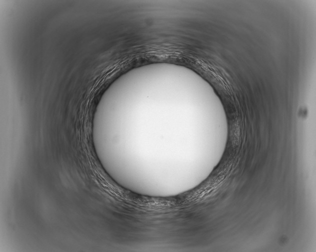 X0000099931105200805230953