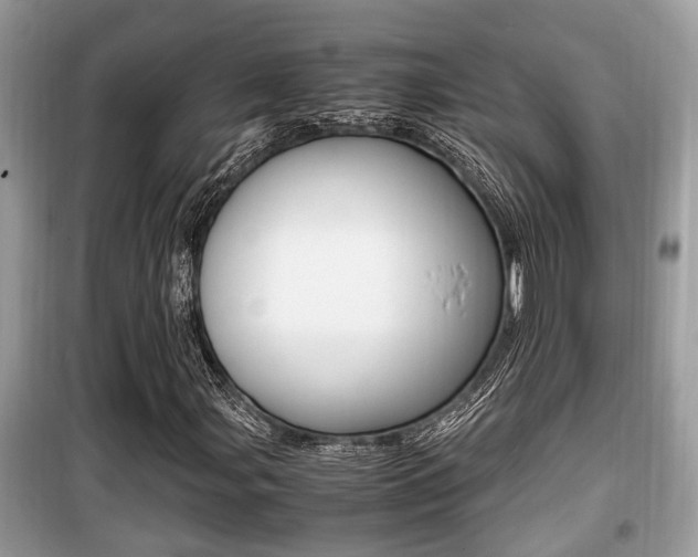 X0000099931107200805230953