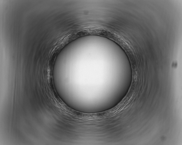 X0000099931108200805230953