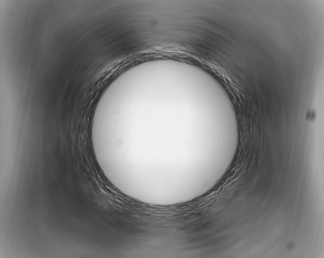 X0000099931110200805230953
