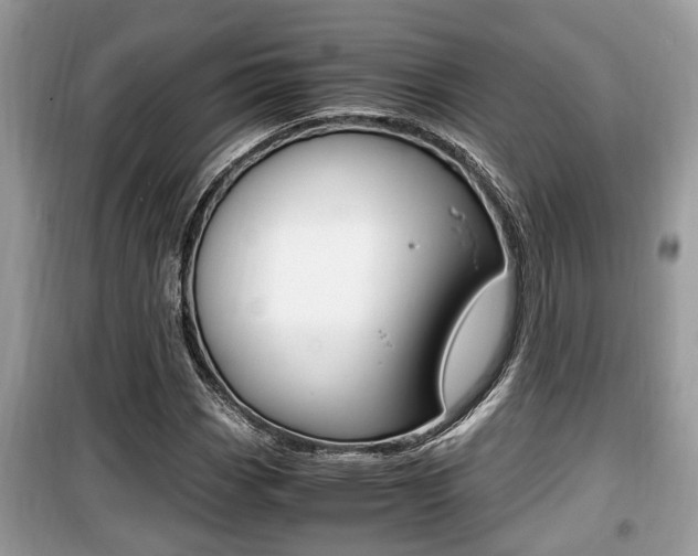 X0000099931113200805230953