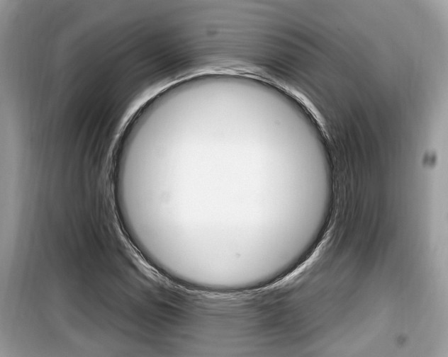 X0000099931114200805230953
