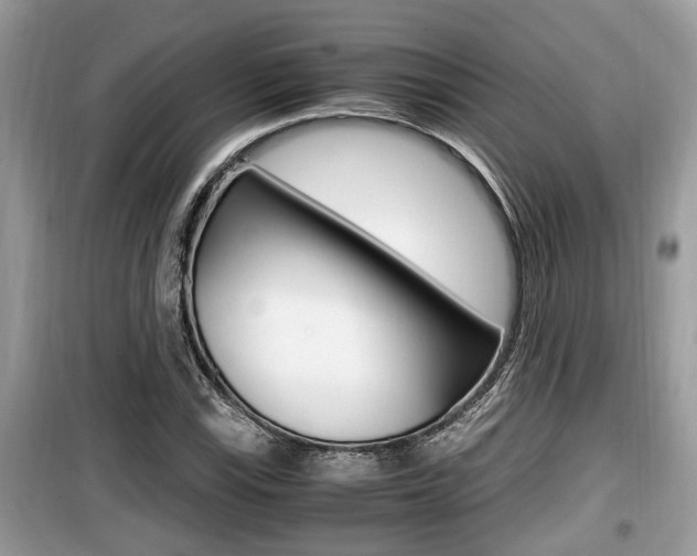 X0000099931115200805230953