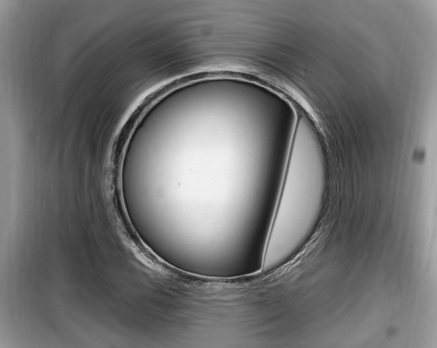 X0000099931116200805230953