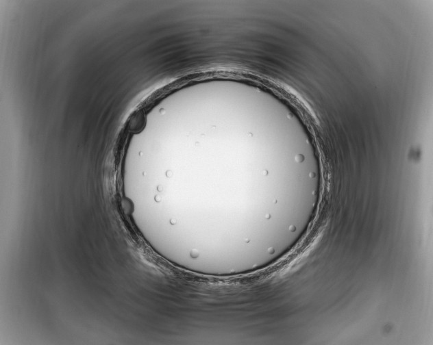 X0000099931117200805230953