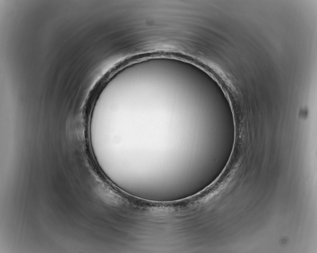 X0000099931118200805230953