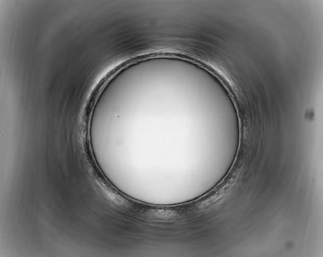 X0000099931119200805230953