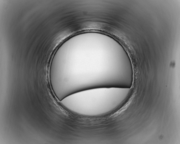 X0000099931121200805230953
