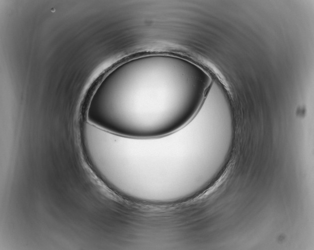 X0000099931122200805230953