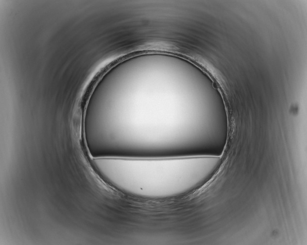 X0000099931123200805230953