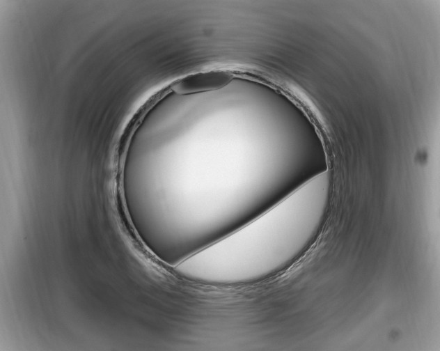 X0000099931124200805230953
