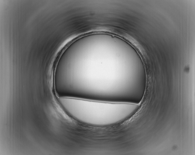X0000099931127200805230953