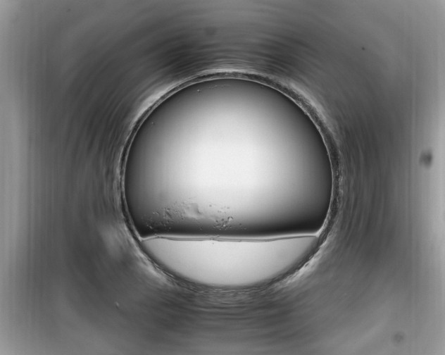 X0000099931129200805230953