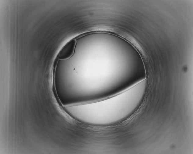 X0000099931132200805230954