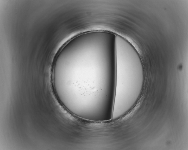 X0000099931134200805230954