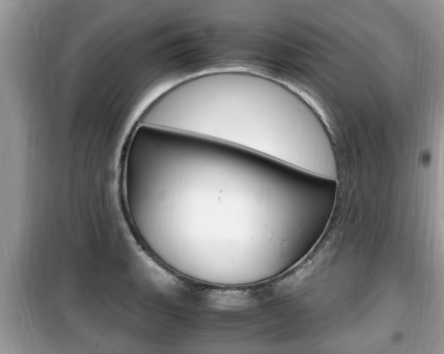X0000099931135200805230954