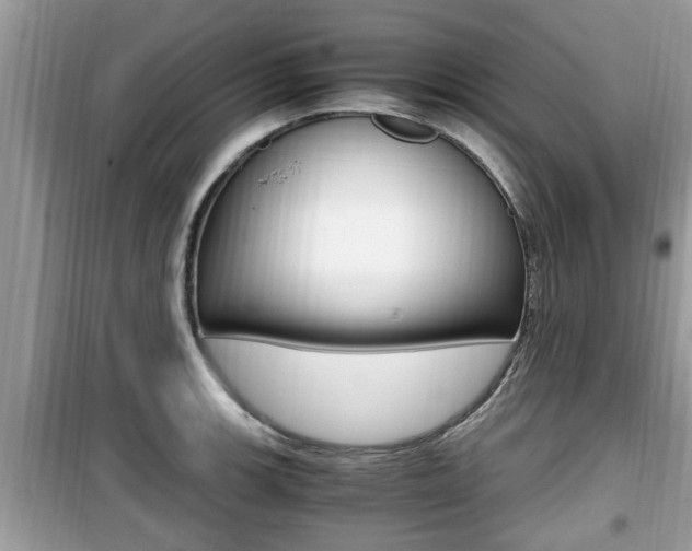 X0000099931139200805230954