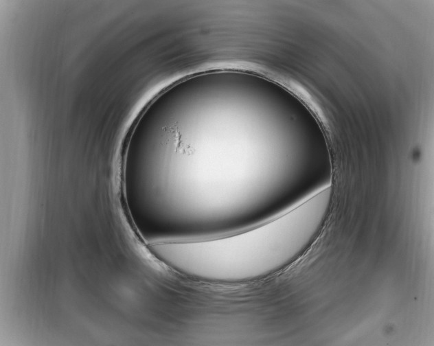 X0000099931140200805230954