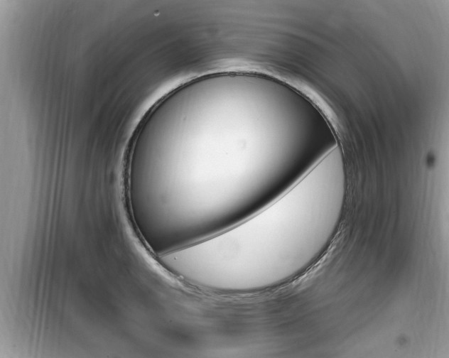 X0000099931142200805230954