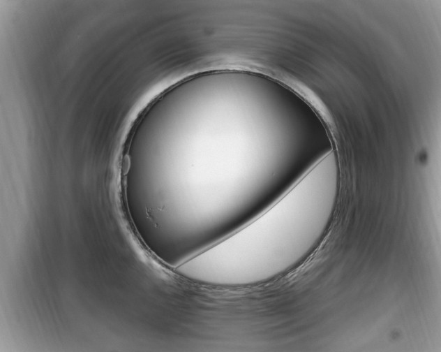 X0000099931144200805230954