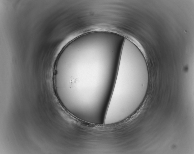 X0000099931146200805230954