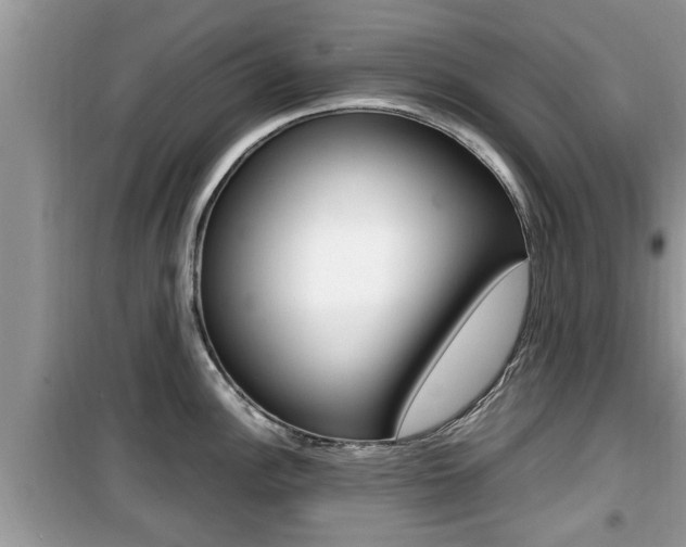 X0000099931148200805230954